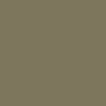 Grigio oliva (0AS)