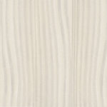 Larice bianco (050)