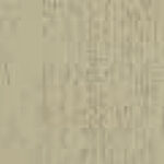 Antico-Fiandre-D4-