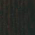 Noce-scuro-L1-